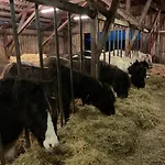 Farma Lille Degnbøl