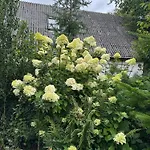 Lille Degnbøl