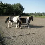 Séjour à la ferme Lille *
