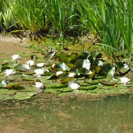 Lille Çiftlik konaklama Degnbøl