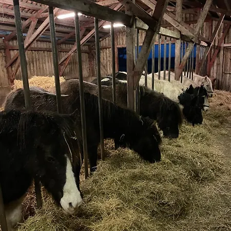 Çiftlik konaklama Lille Degnbøl