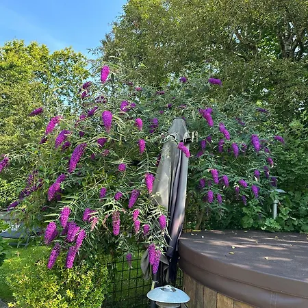 Lille Çiftlik konaklama