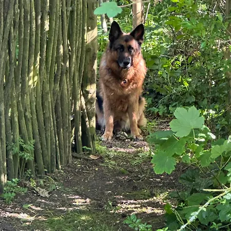 Çiftlik konaklama Lille