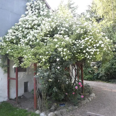 Séjour à la ferme Lille