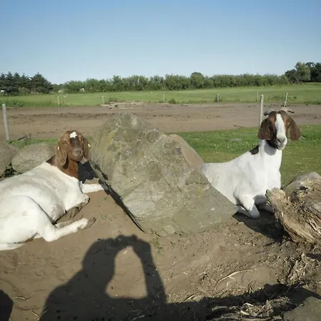 Çiftlik konaklama Lille