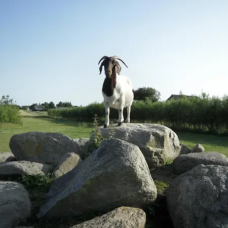Lille Séjour à la ferme