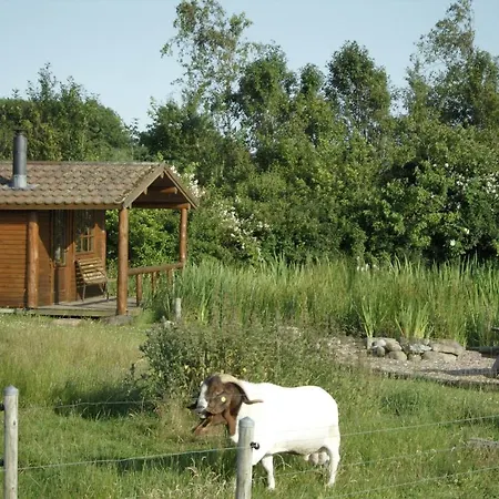Lille Séjour à la ferme Degnbøl