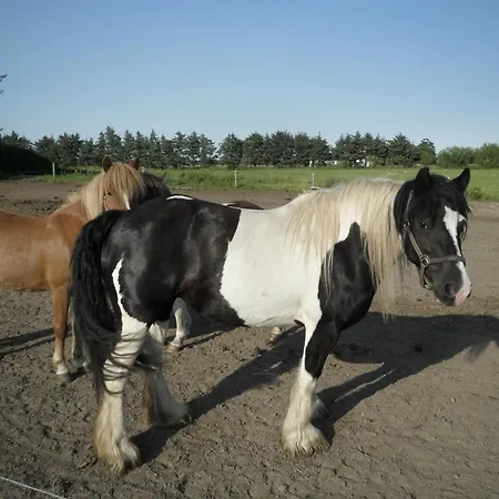 Séjour à la ferme Lille Degnbøl